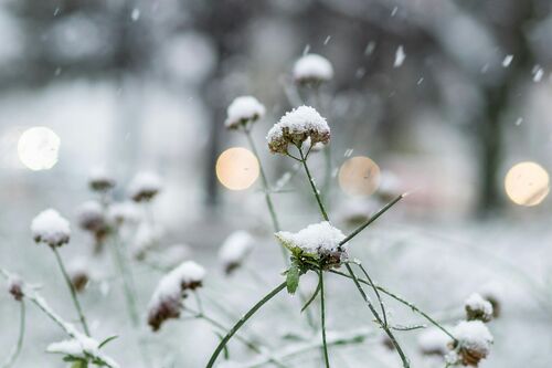 Foto von Sergei Vasilenko: https://www.pexels.com/de-de/foto/winter-30781838/